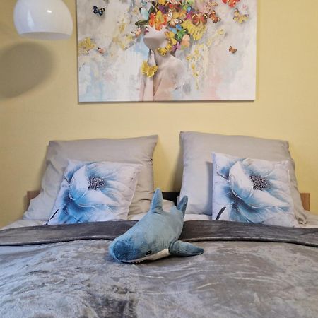 Veludo Apartments Centrum Free Parking Banska Bystrica Ngoại thất bức ảnh